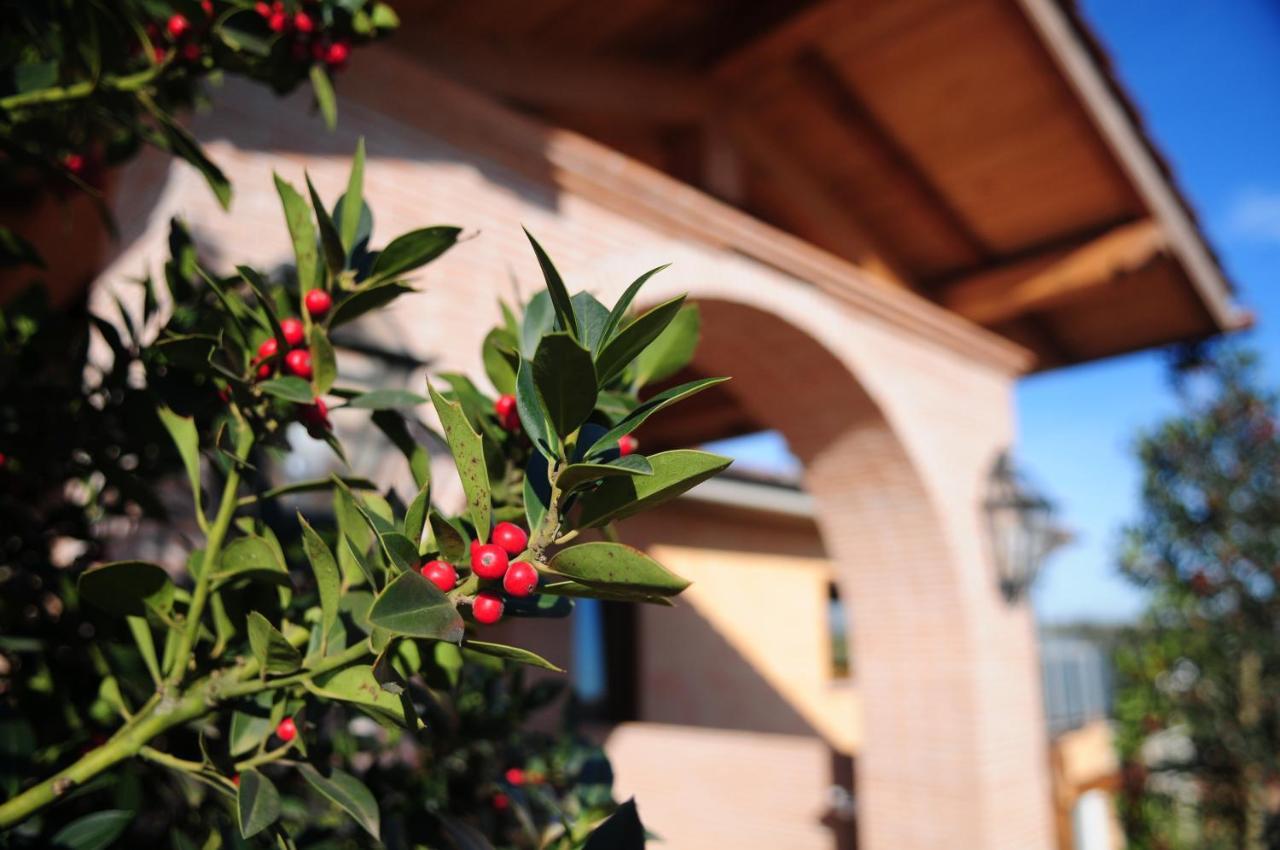 Poggio Dei Cavalieri Bed & Breakfast Boccea Exterior foto